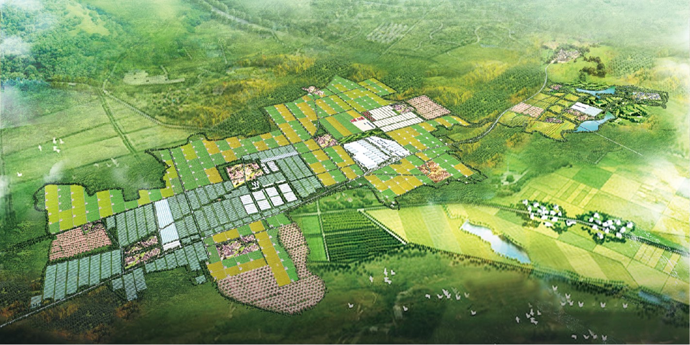 河北張傢(jia)口市(shi)陽(yáng)原縣辛堡現(xian)代(dai)農業(ye)産(chan)業(ye)園